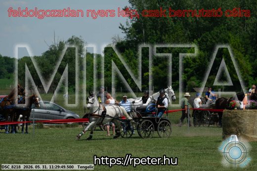 Mintakép 20260531-1025