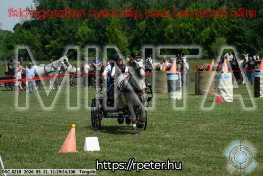 Mintakép 20260531-1026