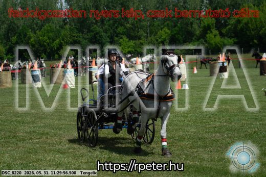 Mintakép 20260531-1027