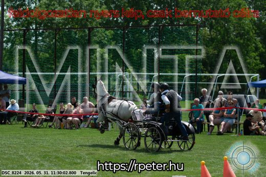 Mintakép 20260531-1031