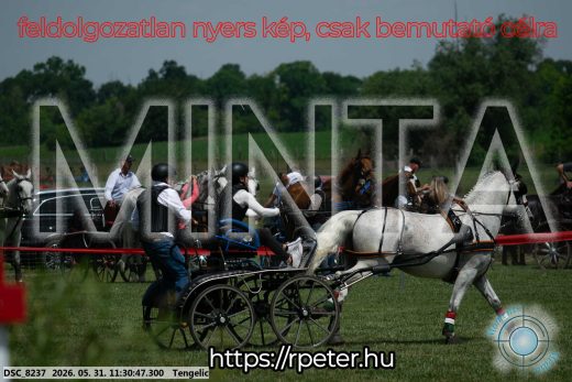 Mintakép 20260531-1039
