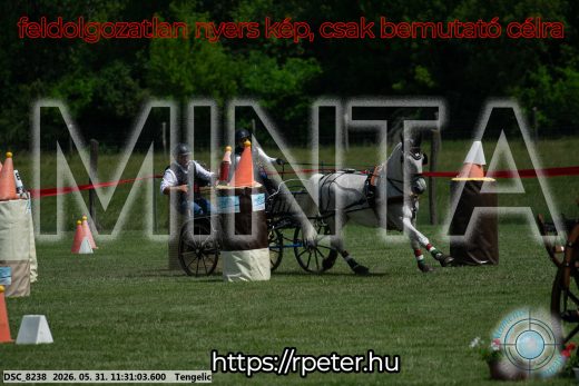 Mintakép 20260531-1040