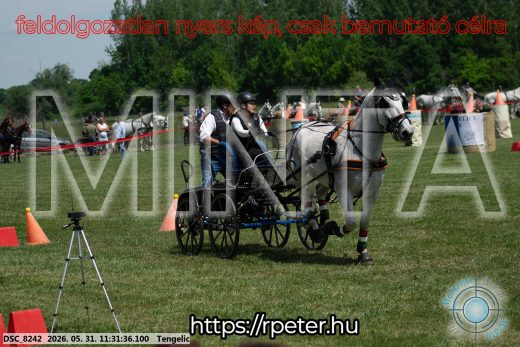 Mintakép 20260531-1044