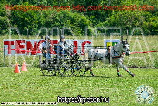 Mintakép 20260531-1050