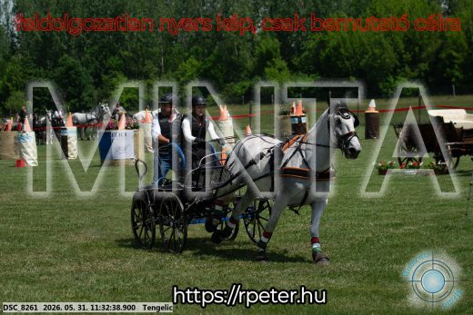 Mintakép 20260531-1060