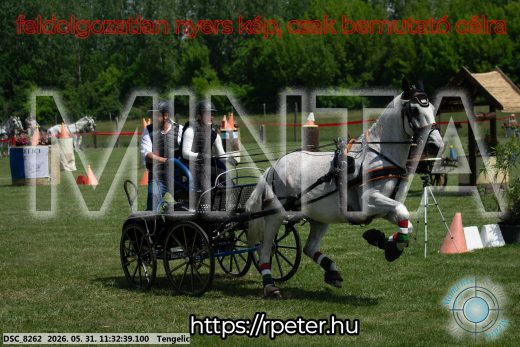 Mintakép 20260531-1061