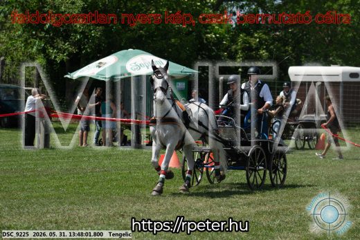 Mintakép 20260531-1064