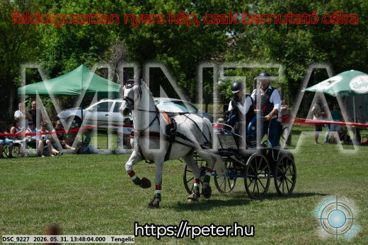 Mintakép 20260531-1066