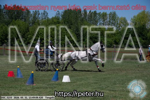 Mintakép 20260531-1075