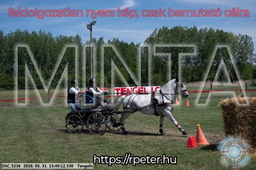 Mintakép 20260531-1077