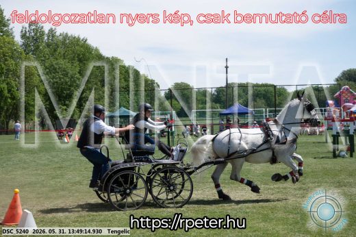 Mintakép 20260531-1079