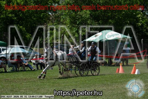 Mintakép 20260531-1081