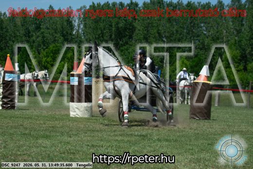 Mintakép 20260531-1084