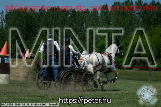 Mintakép 20260531-1086