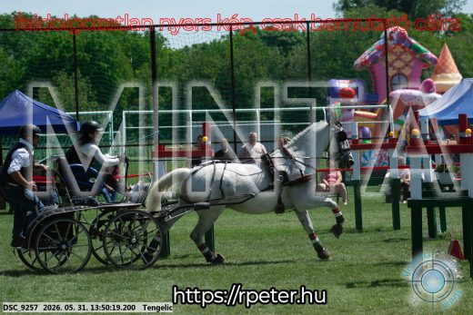 Mintakép 20260531-1088