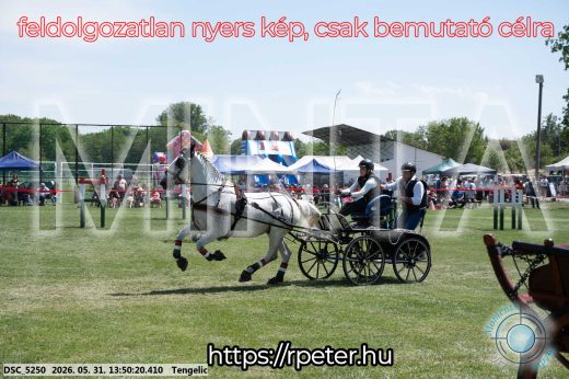 Mintakép 20260531-1089