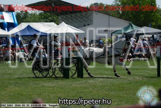 Mintakép 20260531-1091