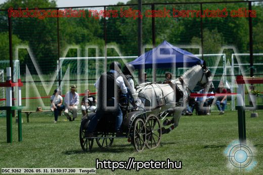 Mintakép 20260531-1092