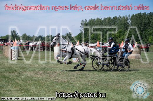 Mintakép 20260531-1094