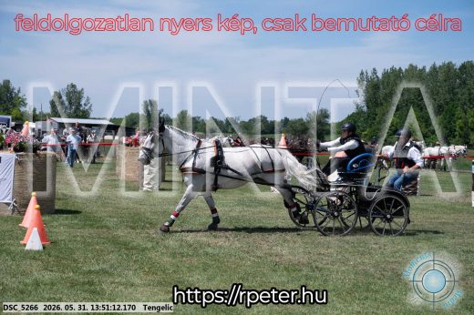Mintakép 20260531-1095