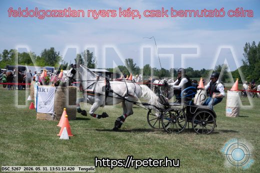 Mintakép 20260531-1096