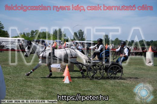 Mintakép 20260531-1097