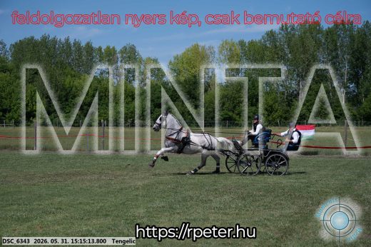 Mintakép 20260531-1107