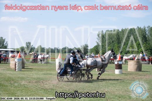 Mintakép 20260531-1109