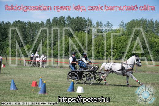 Mintakép 20260531-1110