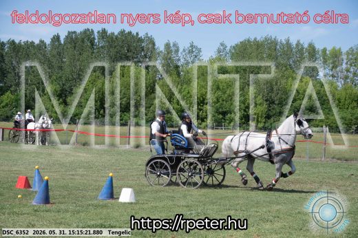 Mintakép 20260531-1111