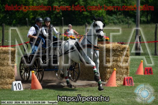 Mintakép 20260531-1125