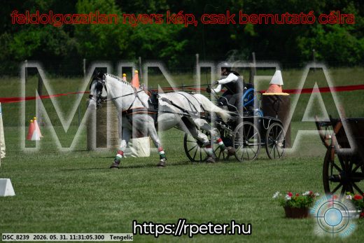 Mintakép 20260531-1131