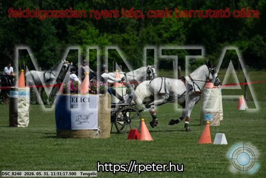Mintakép 20260531-1132