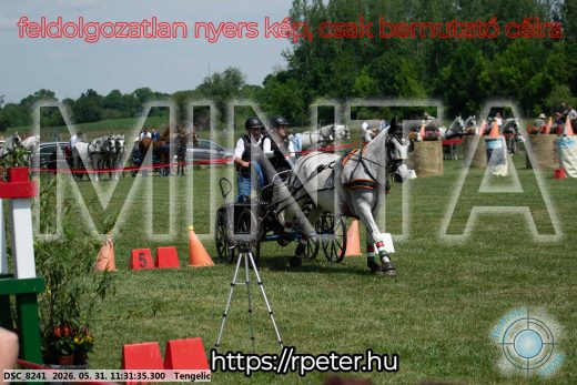 Mintakép 20260531-1133