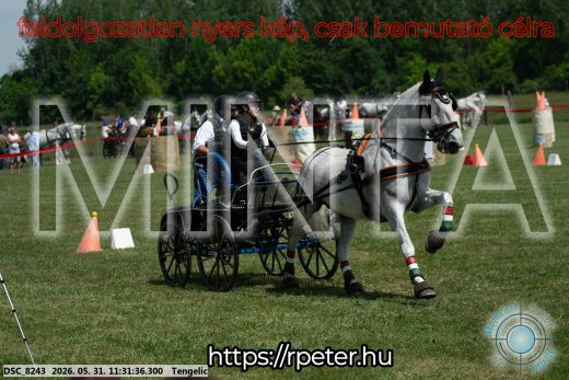 Mintakép 20260531-1135