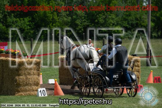 Mintakép 20260531-1138