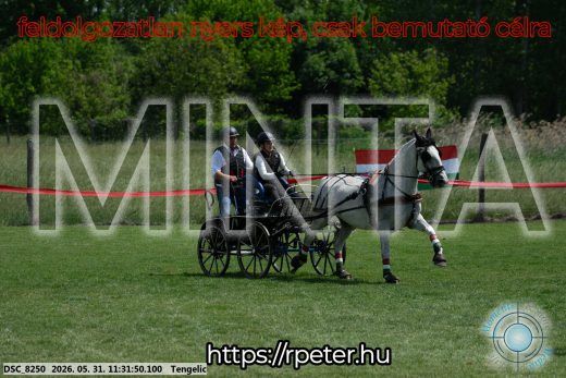 Mintakép 20260531-1141