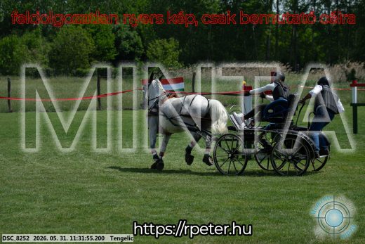 Mintakép 20260531-1143