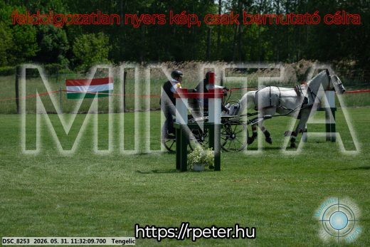 Mintakép 20260531-1144