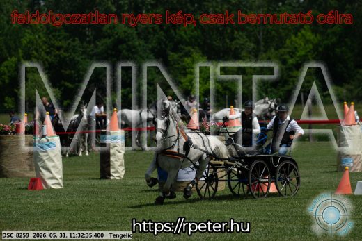 Mintakép 20260531-1148