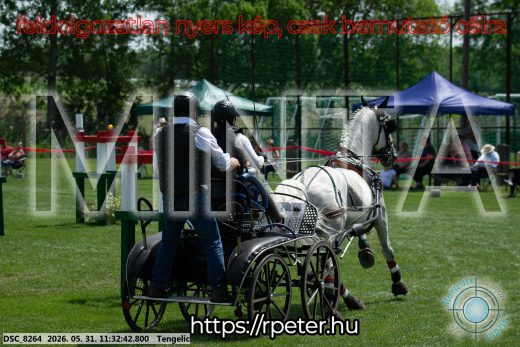 Mintakép 20260531-1153