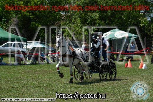Mintakép 20260531-1155