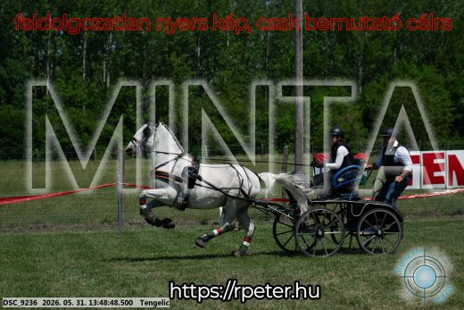 Mintakép 20260531-1162