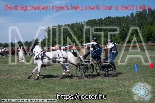 Mintakép 20260531-1163
