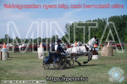Mintakép 20260531-1164