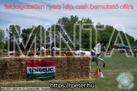 Mintakép 20260531-1168
