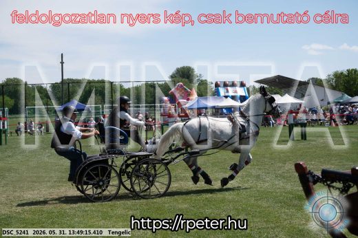 Mintakép 20260531-1170
