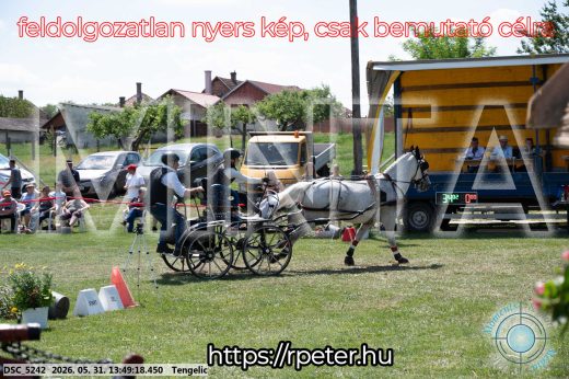 Mintakép 20260531-1172