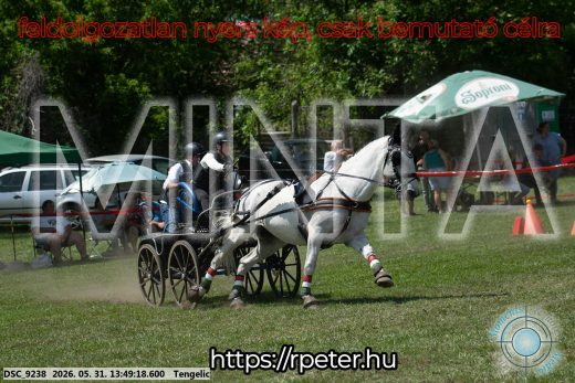 Mintakép 20260531-1173