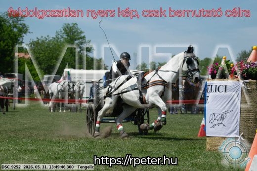 Mintakép 20260531-1175